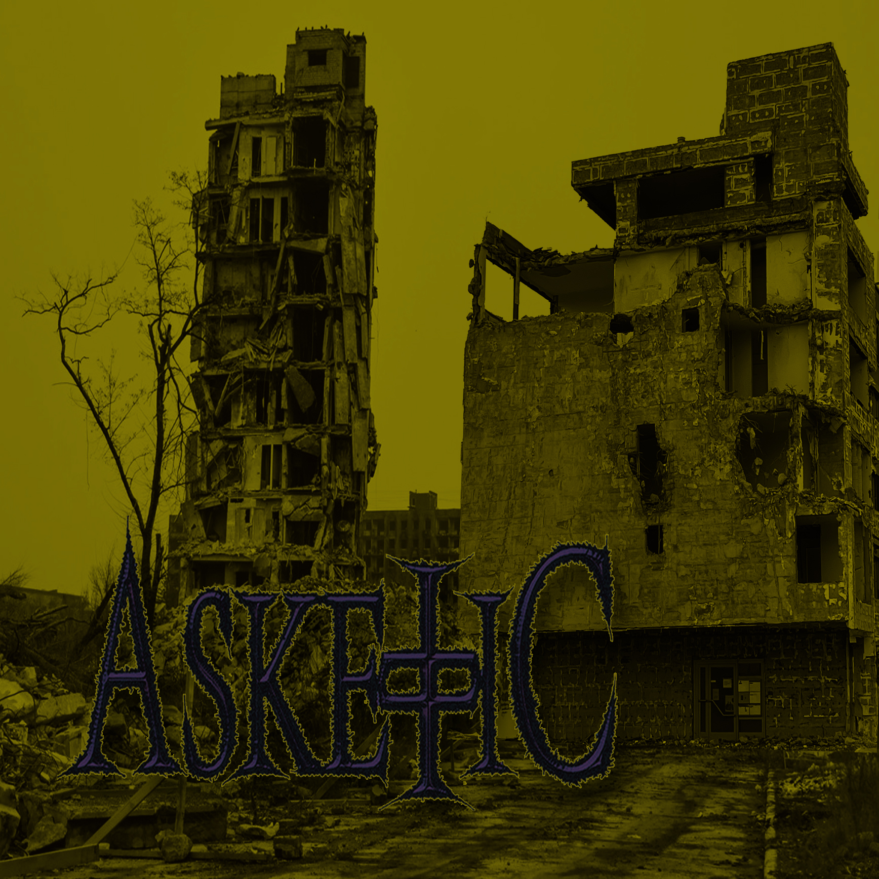 Cover Asketic 210